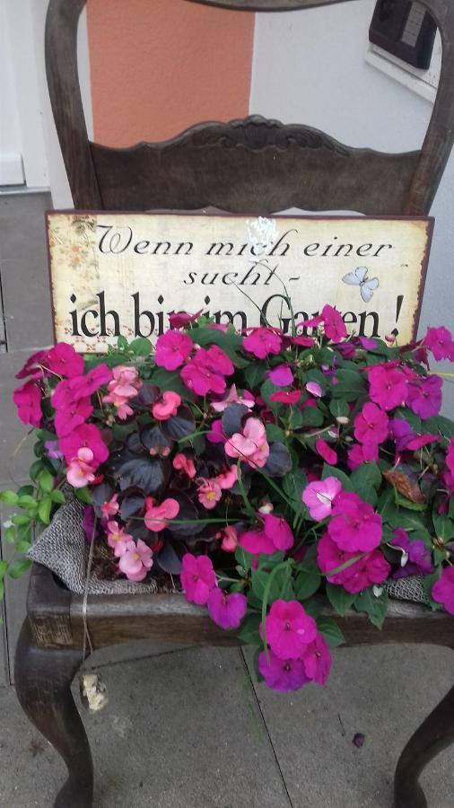 Fewo 1 Waren Mueritz - Haus Buchen Am Tiefwarensee - 1 Zi Extérieur photo